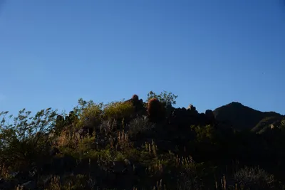 DSC_1849 (Large).JPG